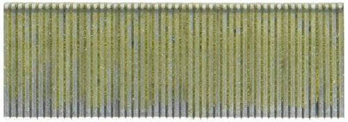 Bosch Type 55 agrafe dos étroit 19 mm x3000 résinifiée