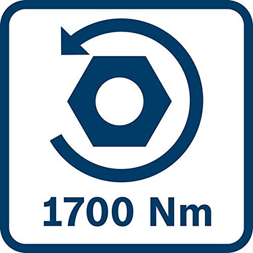 Bosch GDS 18V-1050 H boulonneuse 18V 1050 Nm 2x8,0Ah