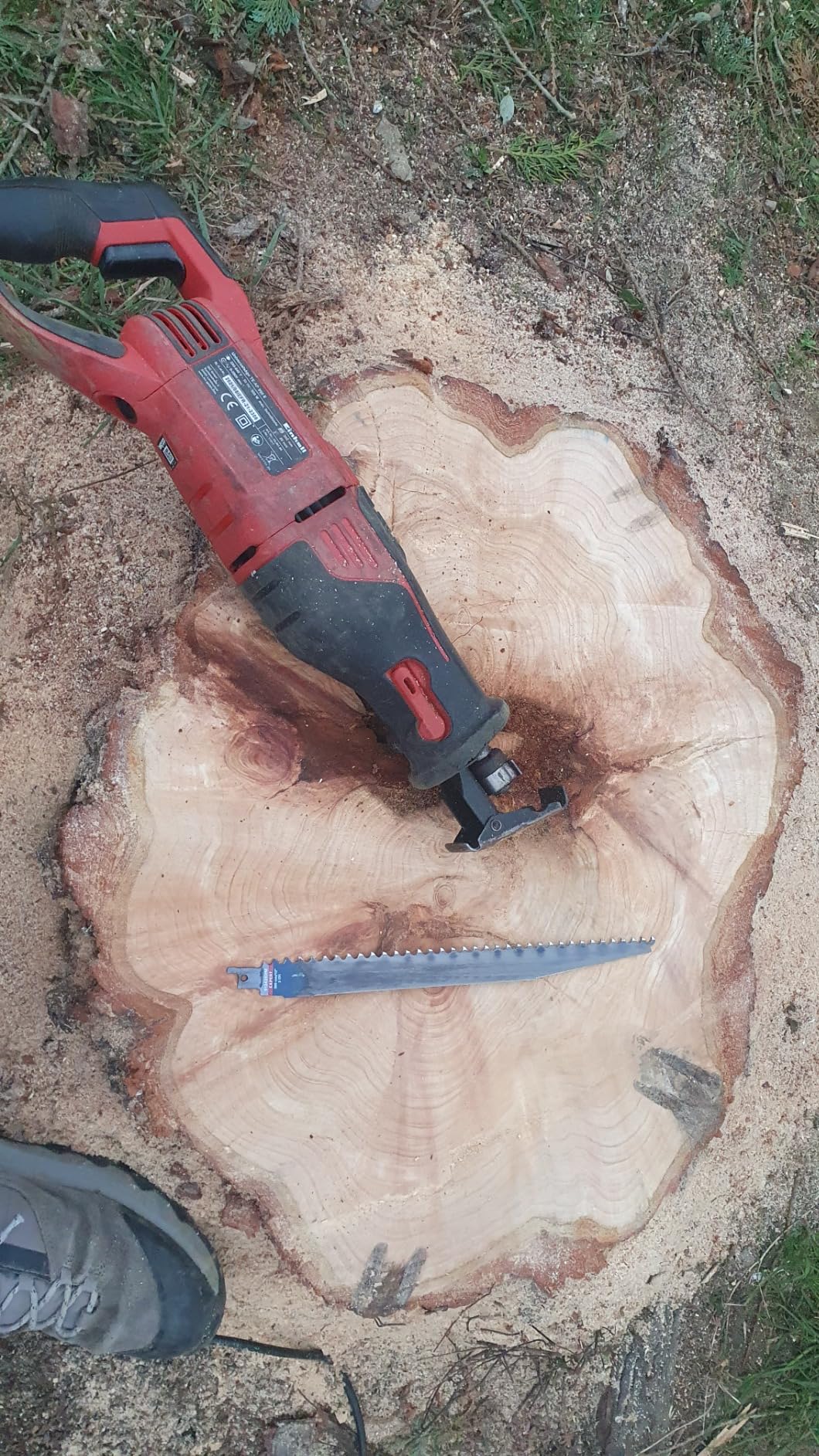 Bosch EXPERT Tough Wood lame scie sabre S1242KHM 300mm