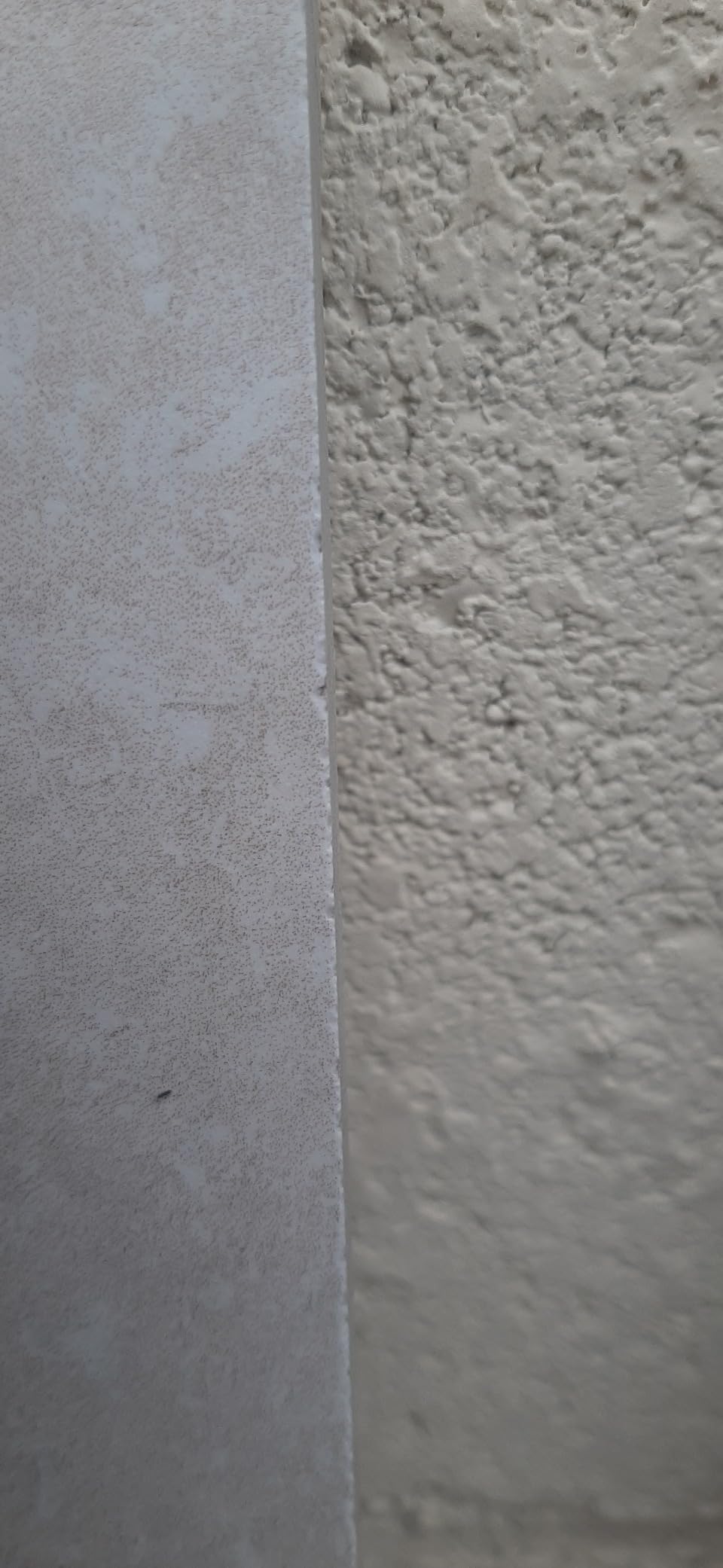 Bosch Ceramic disque diamant 180 mm carrelage céramique