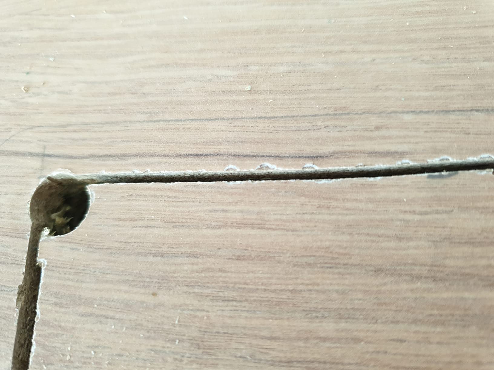Bosch EXPERT T308BFP lame scie sauteuse bois dur 3 pièces