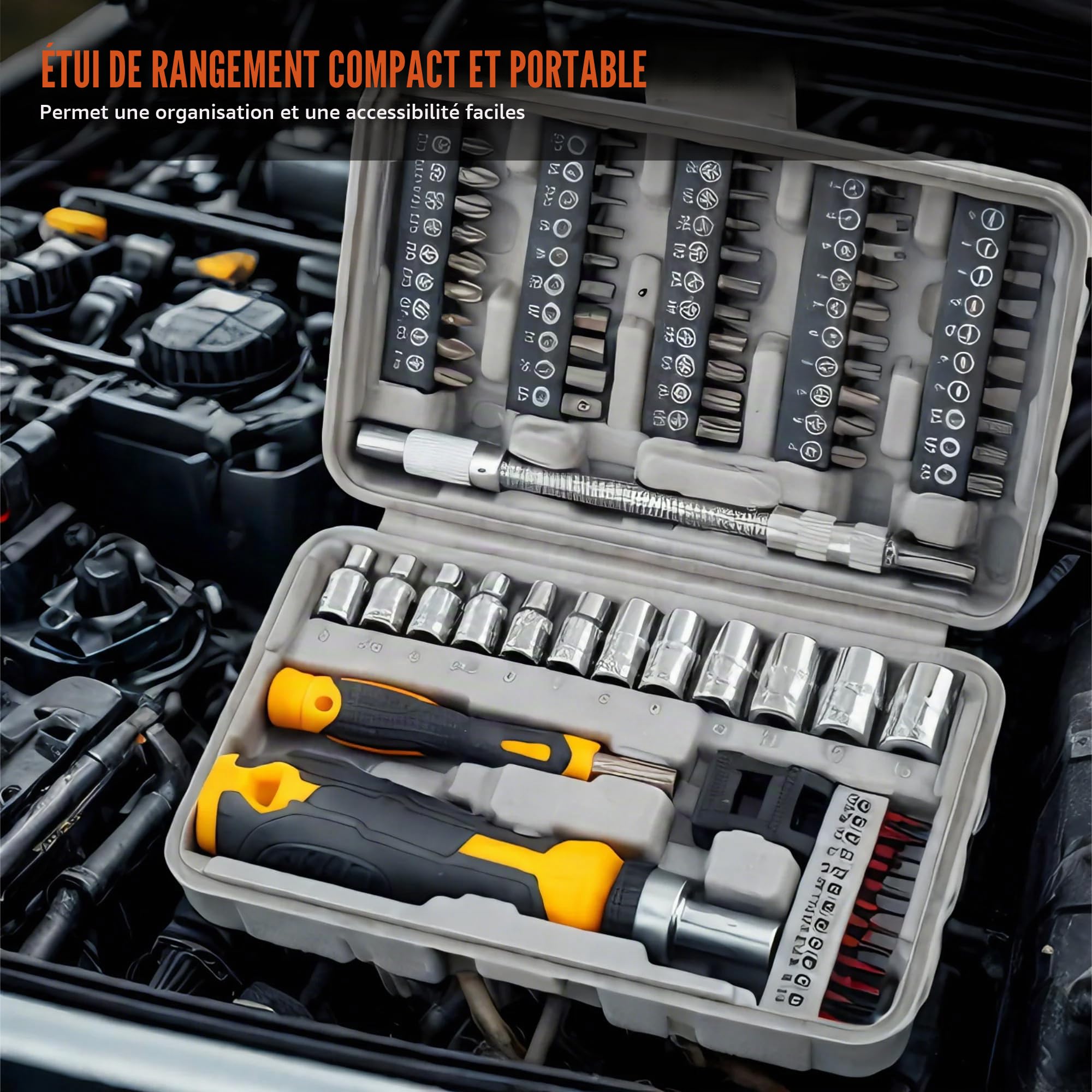 Hi-Spec Screwdriver Bit Sets Coffret Embouts 79 Pièces